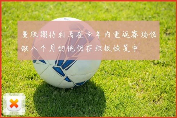 曼联期待利马在今年内重返赛场伤缺八个月的他仍在积极恢复中
