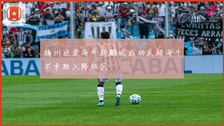 梅州逆袭海牛新鹏城成功反超海牛不幸跌入降级区