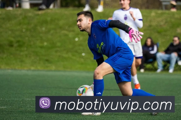 摩博体育平台生态图