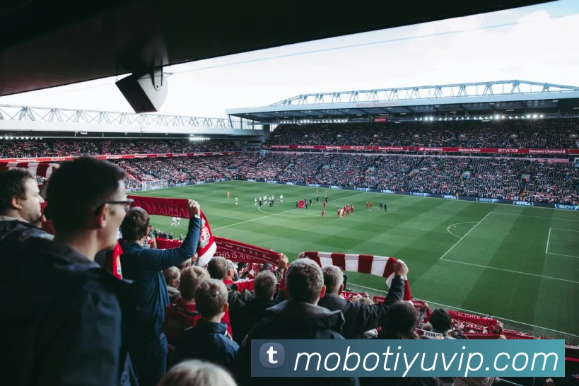 摩博体育APP 封面图